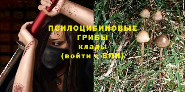 mdma Лагань