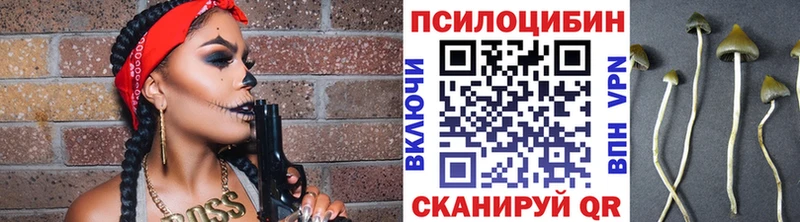 Купить где Белёв Галлюциногенные грибы GOLDEN TEACHER