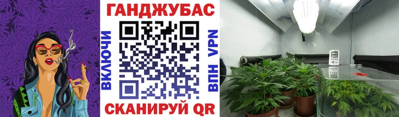 Шишки марихуана семена  Купить  Белёв 